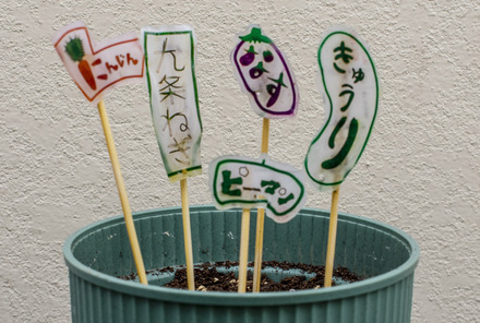 ガーデンピック野菜5種 D-006565 のその他