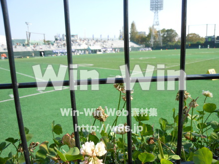 川崎球場の写真素材 W-007599