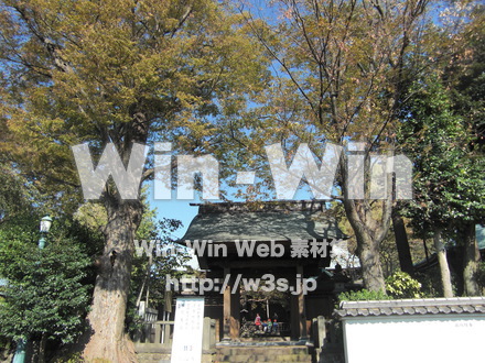 影向寺　２の写真素材 W-006283