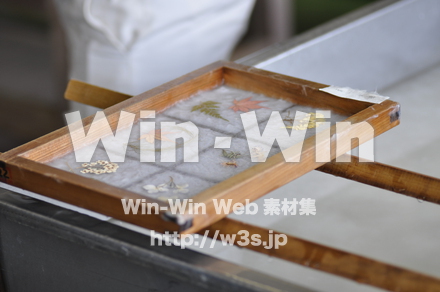 越前和紙作りの写真素材 W-006210