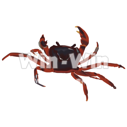 かにのCG・イラスト素材 W-006087