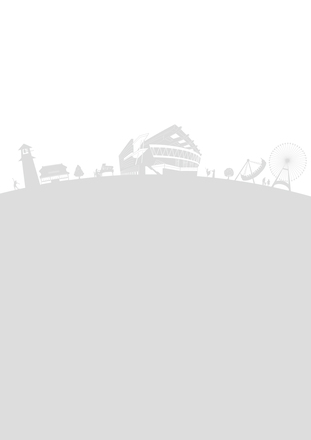 埼玉街ブラシ D-006625 のその他