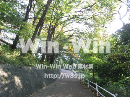 明治大学 生田キャンパス01の写真素材 W-007875