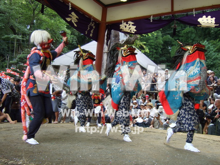 管の獅子舞の写真素材 W-006026