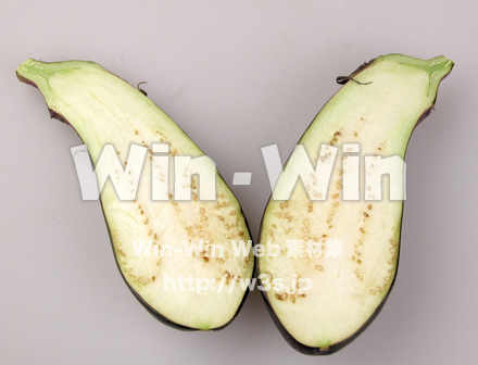 茄子の写真素材 W-007337