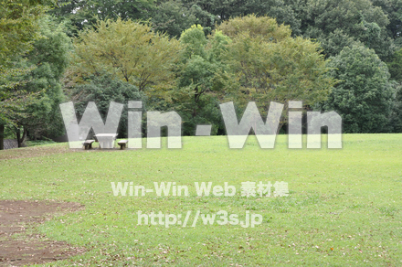 王禅寺ふるさと公園18の写真素材 W-007642