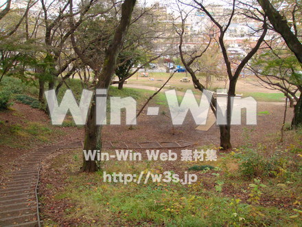 梶ヶ谷第一公園の写真素材 W-007488