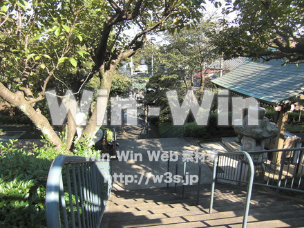 稲毛惣社　白幡八幡大神　１３の写真素材 W-006438