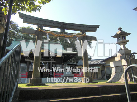 稲毛惣社　白幡八幡大神　１０の写真素材 W-006426