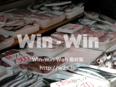 いろいろな魚の写真素材 W-007552