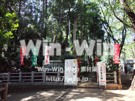 夢見ケ崎動物公園-天照大神境内の写真素材 W-006781