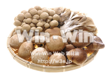 キノコの山盛りの写真素材 W-007031