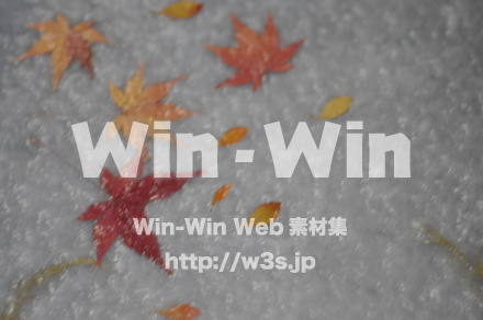 越前和紙作りの写真素材 W-006209