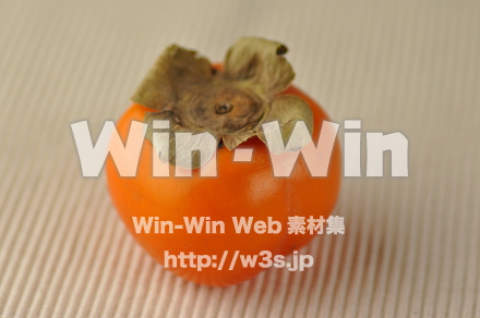 柿の写真素材 W-007757