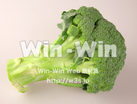 ブロッコリーの写真素材 W-007153
