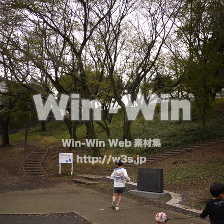 梶ヶ谷第一公園の写真素材 W-007506