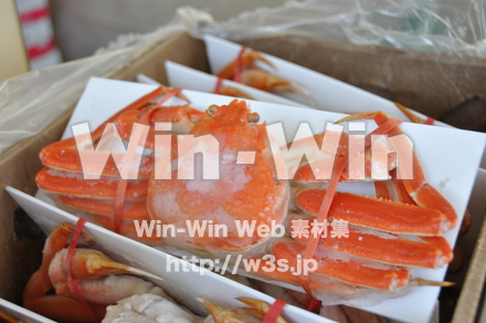 かにの写真素材 W-007544