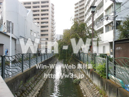 溝の口界隈の写真素材 W-007585