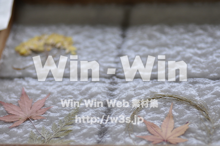 越前和紙作りの写真素材 W-006211