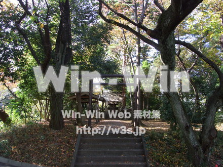 明治大学 生田キャンパス05の写真素材 W-007879