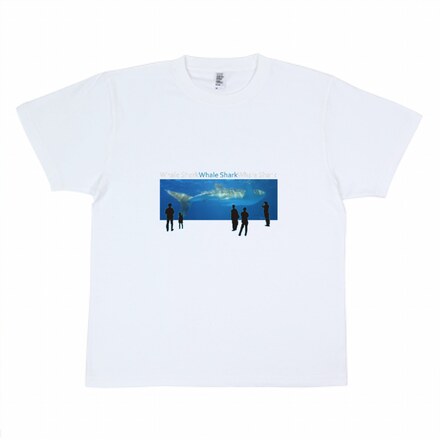 Tシャツ D-007071 のその他