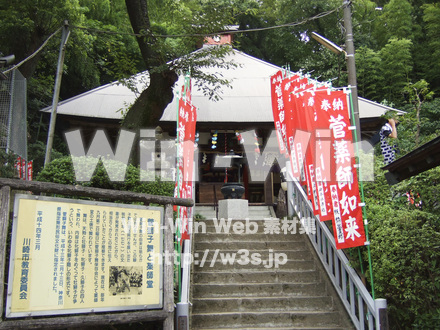 管の獅子舞の写真素材 W-006027