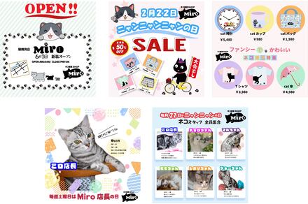 架空のネコ雑貨ショップ　MIRO D-006369 のPOP