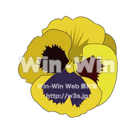 パンジーのCG・イラスト素材 W-006601