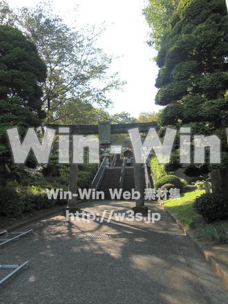 稲毛惣社　白幡八幡大神　１の写真素材 W-006336