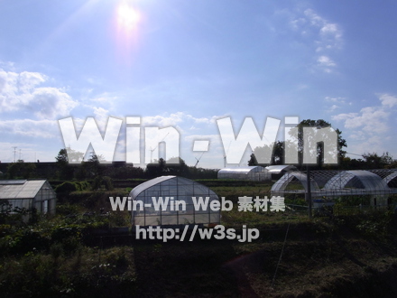 明治大学 生田キャンパス18の写真素材 W-007892