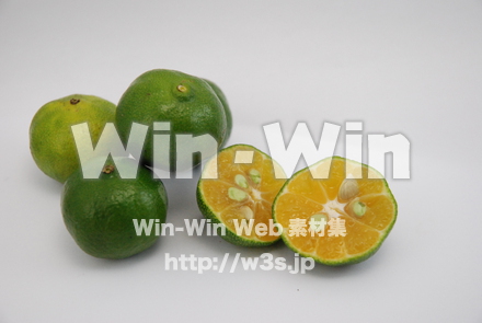 シークヮーサーの写真素材 W-007754