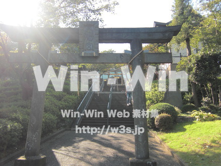稲毛惣社　白幡八幡大神　２の写真素材 W-006339
