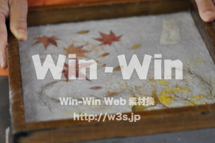 越前和紙作りの写真素材 W-006192