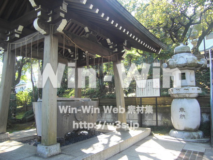 稲毛惣社　白幡八幡大神　３の写真素材 W-006358