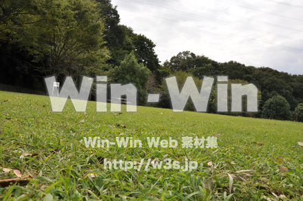 王禅寺ふるさと公園19の写真素材 W-006865