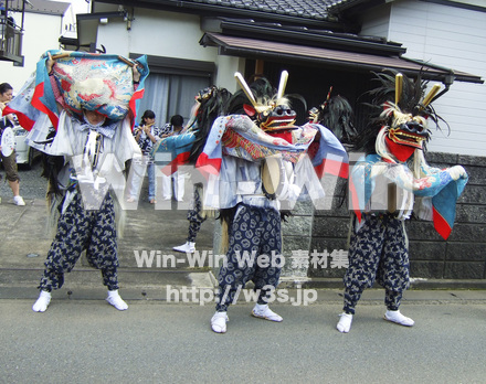 管の獅子舞の写真素材 W-006018