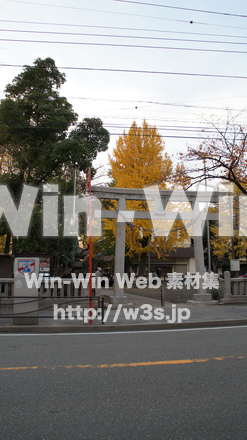 若宮神社（大師）の写真素材 W-008467