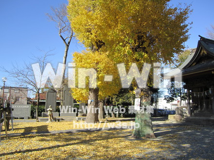 登戸稲荷神社の写真素材 W-008595