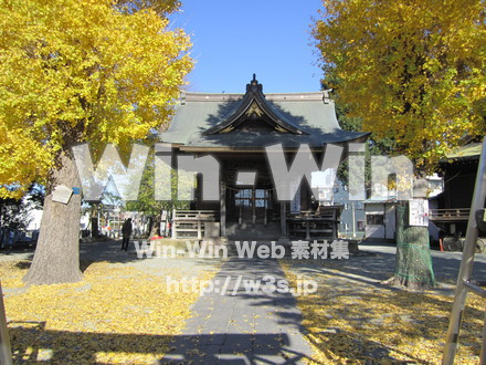 登戸稲荷神社の写真素材 W-008594