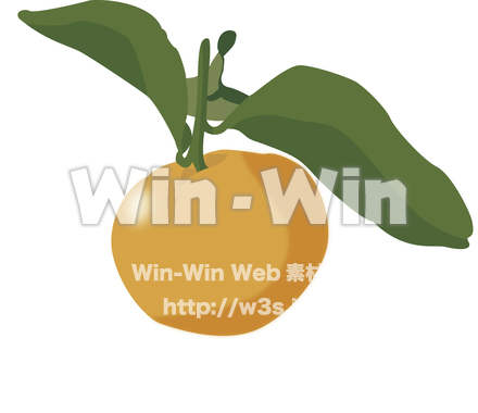 みかんのCG・イラスト素材 W-009257
