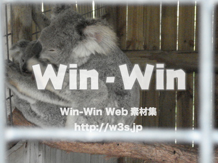 コアラの写真素材 W-009602