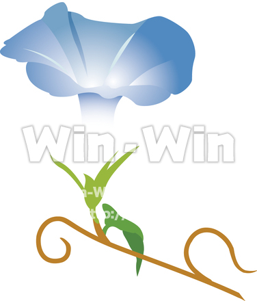 あさがおのCG・イラスト素材 W-009883