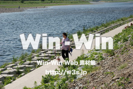 犬の散歩の写真素材 W-009681