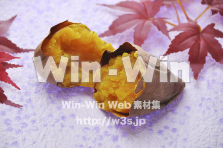 安納芋の焼き芋の写真素材 W-008781