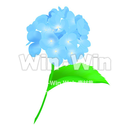 あじさいのCG・イラスト素材 W-009880