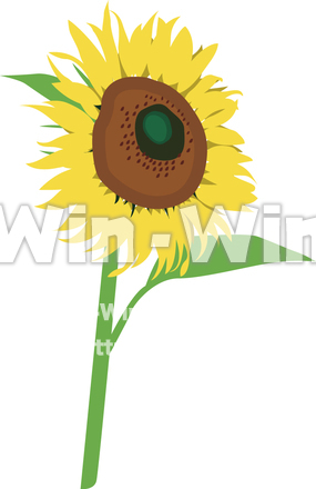 ひまわりのCG・イラスト素材 W-009889