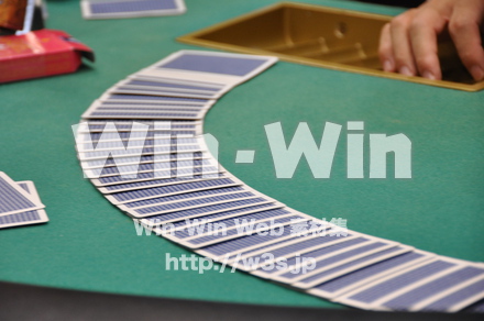 手の写真素材 W-009753