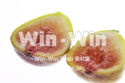 いちじくの写真素材 W-008013