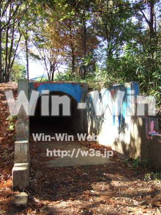 川崎市子ども夢パークの写真素材 W-008935