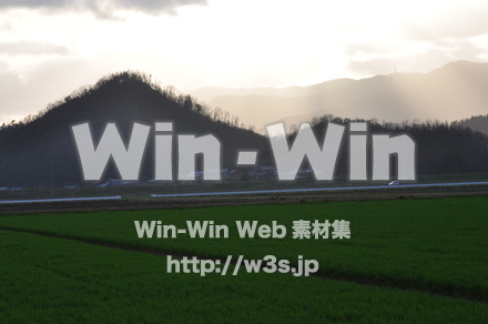 お米の写真素材 W-008279